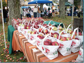 Apples on Fair table